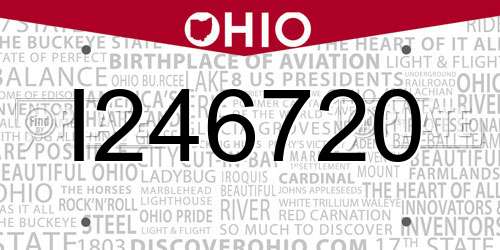 I246720 Ohio License Plate