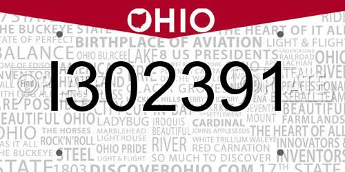 I302391 Ohio License Plate