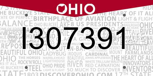 I307391 Ohio License Plate