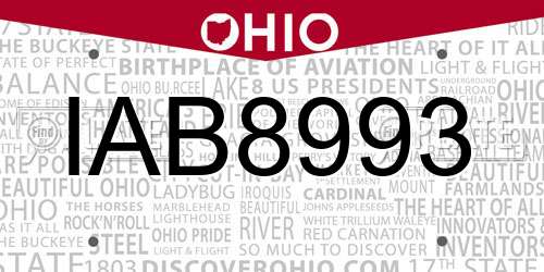 IAB8993 Ohio License Plate
