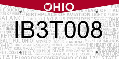 IB3T008 Ohio License Plate