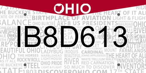 IB8D613 Ohio License Plate