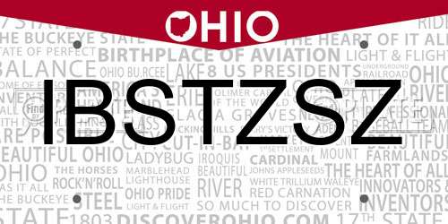 IBSTZSZ Ohio License Plate