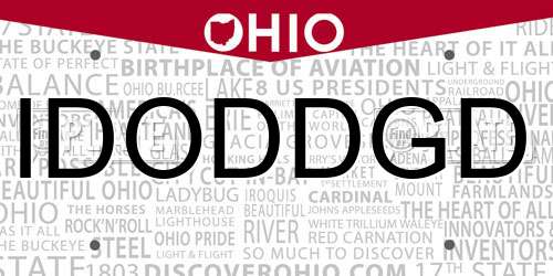 IDODDGD Ohio License Plate