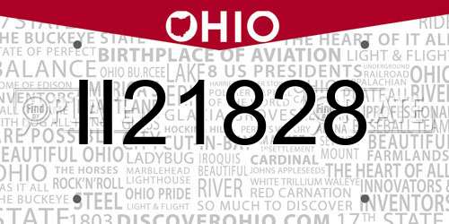 II21828 Ohio License Plate