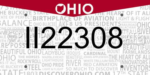 II22308 Ohio License Plate