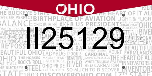 II25129 Ohio License Plate
