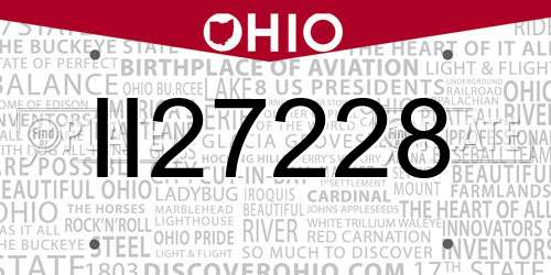 II27228 Ohio License Plate