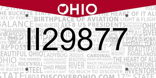 II29877 Ohio License Plate