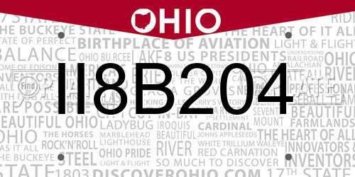 II8B204 Ohio License Plate