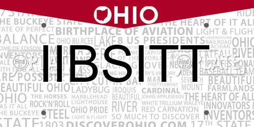 IIBSITT Ohio License Plate