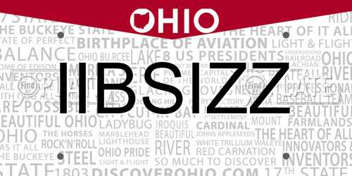 IIBSIZZ Ohio License Plate
