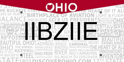 IIBZIIE Ohio License Plate