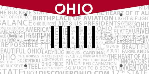 IIIIII Ohio License Plate