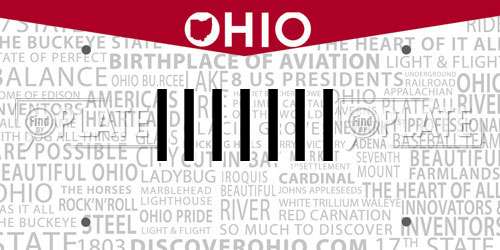 IIIIIII Ohio License Plate