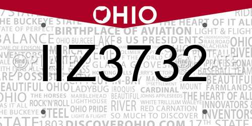 IIZ3732 Ohio License Plate