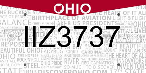 IIZ3737 Ohio License Plate