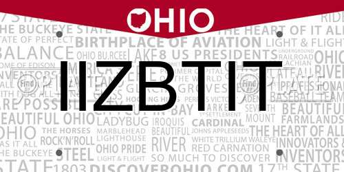 IIZBTIT Ohio License Plate