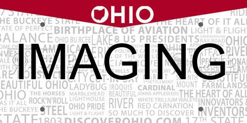 IMAGING Ohio License Plate