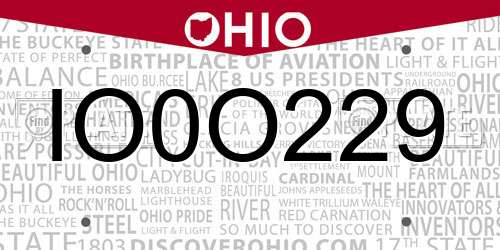 IO0O229 Ohio License Plate