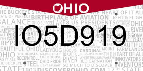 IO5D919 Ohio License Plate