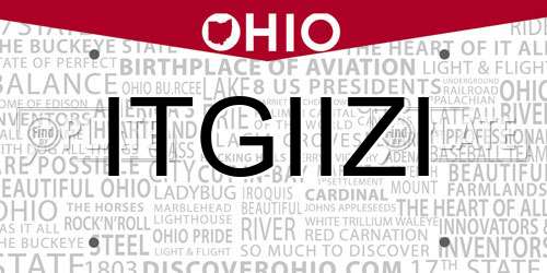 ITGIIZI Ohio License Plate