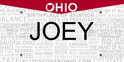 JOEY Ohio License Plate