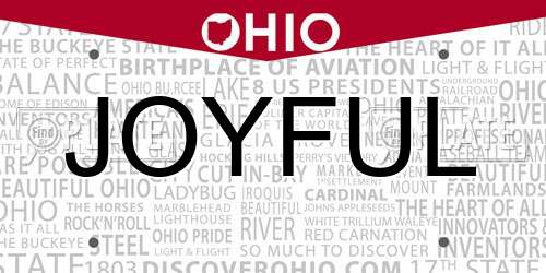 JOYFUL Ohio License Plate