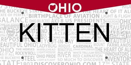 KITTEN Ohio License Plate