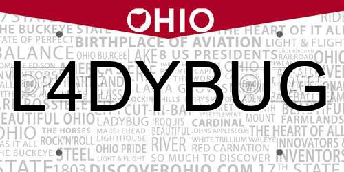L4DYBUG Ohio License Plate