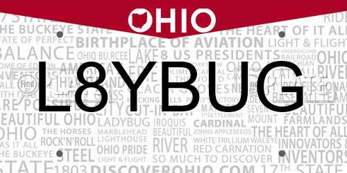 L8YBUG Ohio License Plate