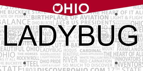 LADYBUG Ohio License Plate