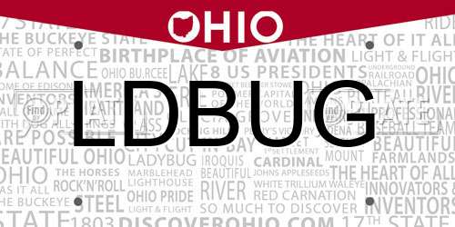 LDBUG Ohio License Plate