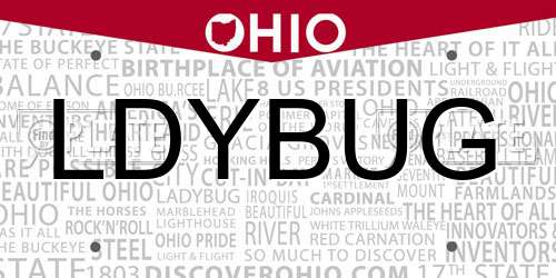 LDYBUG Ohio License Plate