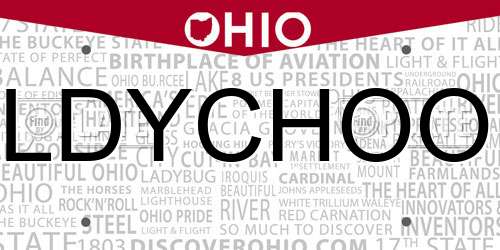 LDYCHOO Ohio License Plate