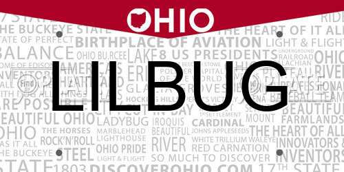 LILBUG Ohio License Plate