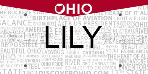 LILY Ohio License Plate