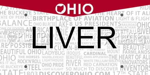 LIVER Ohio License Plate