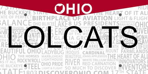 LOLCATS Ohio License Plate