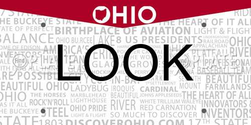 LOOK license plate in OH state