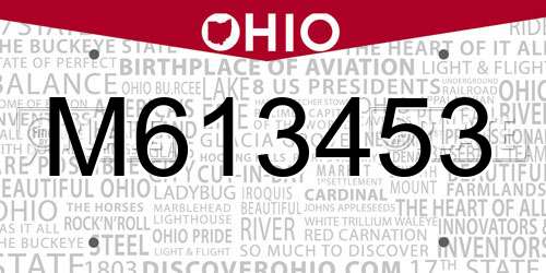 M613453 Ohio License Plate