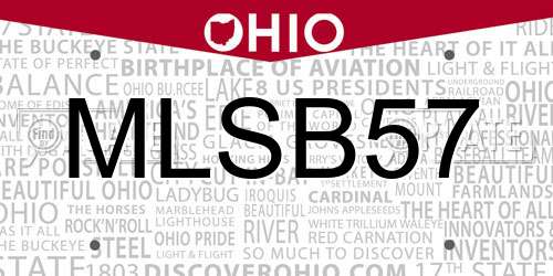 MLSB57 Ohio License Plate
