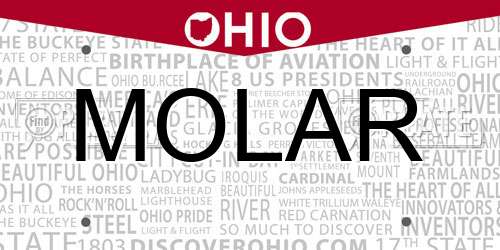 MOLAR Ohio License Plate