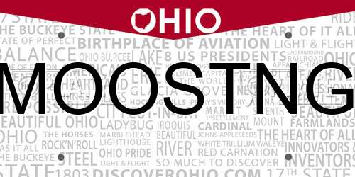 MOOSTNG Ohio License Plate