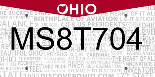 MS8T704 Ohio License Plate