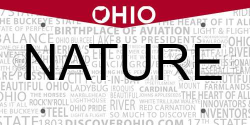 NATURE Ohio License Plate