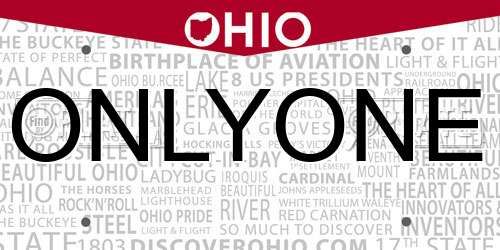 ONLYONE Ohio License Plate