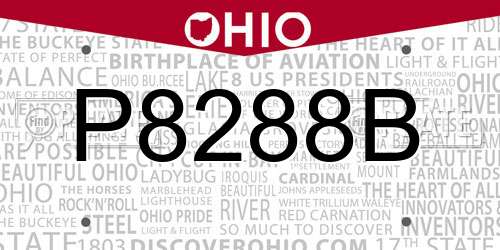 P8288B Ohio License Plate
