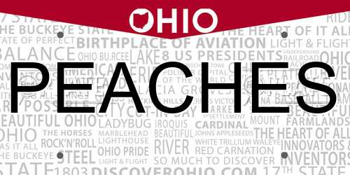 PEACHES Ohio License Plate