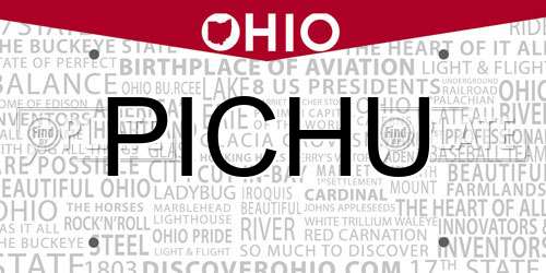 PICHU Ohio License Plate